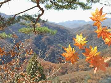 斗破苍穹动漫年番全集免费观看,实地考察数据应用_版床45.55.52